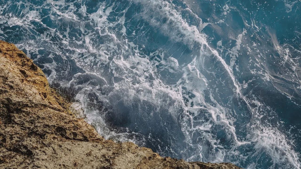 Art + Impact brand film